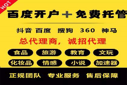 SEM竞价托管代运营助力转化率提升